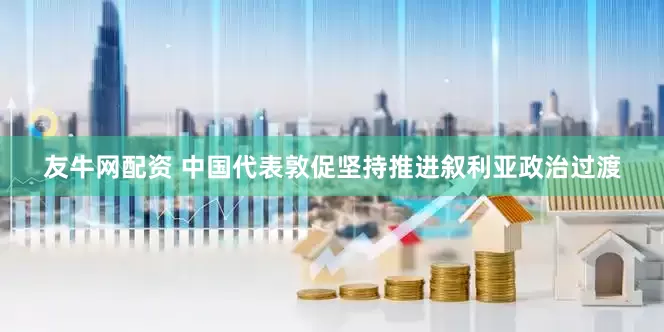 友牛网配资 中国代表敦促坚持推进叙利亚政治过渡