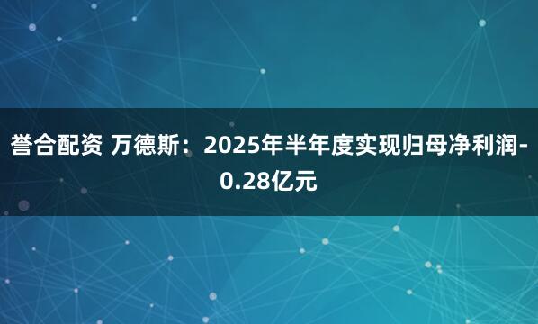 誉合配资 万德斯：2025年半年度实现归母净利润-0.28亿元